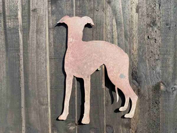 il fullxfull.2407448765 sj1e scaled WELCOME TO THE RUSTIC GARDEN ART SHOP Here we have one of our. Small Exterior Rustic Rusty Whippet Greyhound Lurcher Dog Garden Wall Hanger House Gate Sign Hanging Metal Art Sculpture Sizes & Measurements: 25cm x 35cm Made From 2mm Mild Steel.