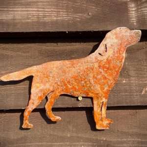 Medium Exterior Labrador Retriever Gun Dog Working Dog Andrex Puppy Garden Wall House Gate Sign Hanging Rusty Rustic Metal Art  Gift