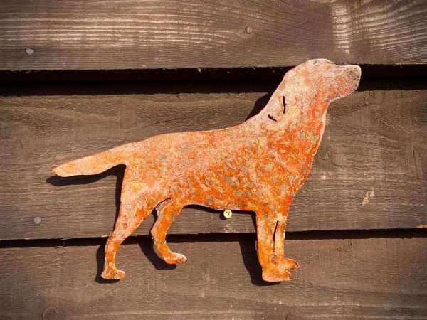 WELCOME TO THE RUSTIC GARDEN ART SHOP Here we have one of our. Medium Exterior Labrador Retriever Gun Dog Andrex Puppy Garden Wall House Gate Sign Hanging Rusty Rustic Metal Art Made from 2mm Mild Steel. Sizes & Measurements: 50cm x 39cm Made From 2mm Mild Steel.