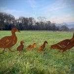 Exterior Rustic Rusty Metal Duck Family Quack Farm Animal Garden Stake Yard Art  Pond Art Vegetable Patch Flower Bed Sculpture