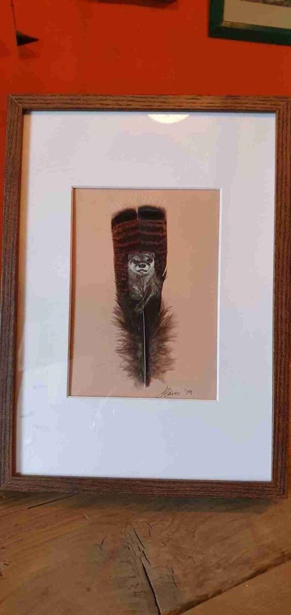 otter frame scaled OTTER HAND PAINTED IN ACRYLICS ON A TURKEY FEATHER MOUNTED IN AN A4 FRAME