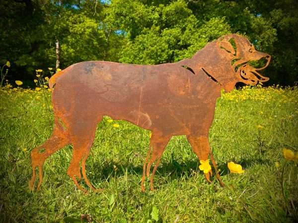 Exterior Rustic Rusty Metal Rottweiller Rottweiler Walking Dog Garden Stake Yard Art  Sculpture Beware Of The Dog  Gift
