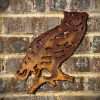 Exterior Rustic Owl Barn Owl Tawny Owl Garden Wall Art House Gate Fence Shed Sign Hanging Metal Rustic Bird Bath Bird Feeder Art  Gift - Image 2