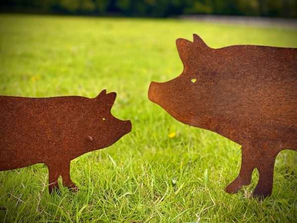 Large Exterior Rustic Rusty Metal Pig Piggie Snout Farm Animal Garden Stake Yard Art  Flower Bed Centre Piece Sculpture  Gift - Image 2