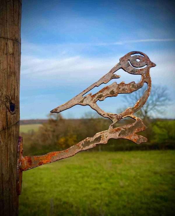 Exterior Rustic Blue Tit Bird Branch Topper Garden Art Yard Art Flower Bed Metal Garden Stake  Idea  Gift   Present