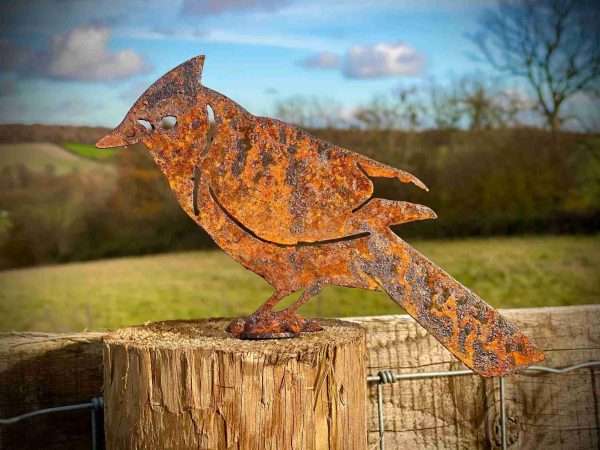 il fullxfull.2709759509 saks scaled WELCOME TO THE RUSTIC GARDEN ART SHOP Here we have one of our. Exterior Rustic Jay Bird Fence Topper Tree Art Garden Art Yard Art Flower Bed Metal Garden Stake Gift Idea Sizes & Measurements:
14cm x 20cm Made From 2mm Mild Steel.