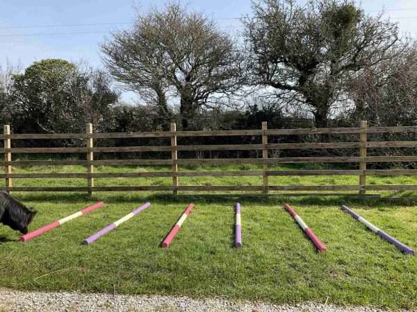 Set of 6 Lightweight 6ft 4" Timber Pony Show Jump/Trotting Poles - Image 3