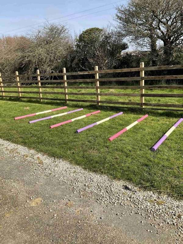 Set of 6 Lightweight 6ft 4" Timber Pony Show Jump/Trotting Poles - Image 2