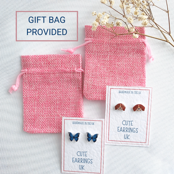 Gift bag for cute Earrings UK