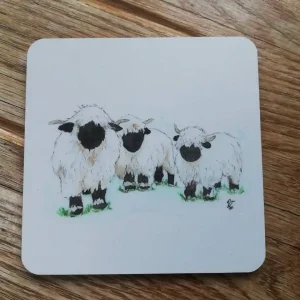 COASTER: Valais Blacknose Sheep
