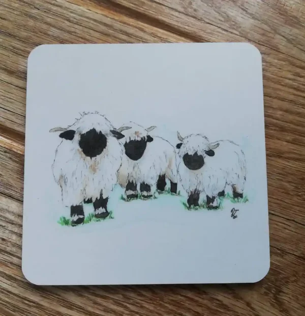 COASTER: Valais Blacknose Sheep