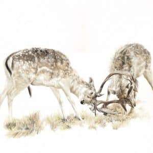 Just getting started ...   Giclee Print