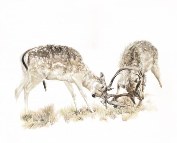 Just getting started ...   Giclee Print
