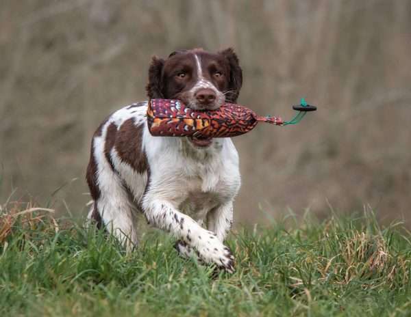 1lb Pheasant Flight Dummy