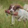 1lb Pheasant Flight Dummy - Image 4