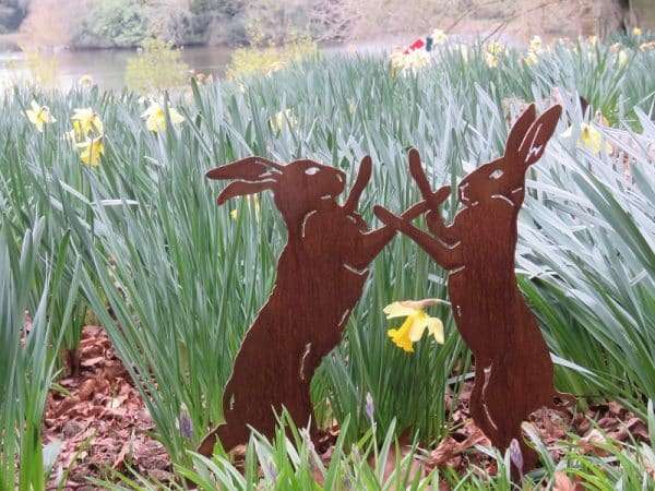 Rusty Boxing Hares Sculpture