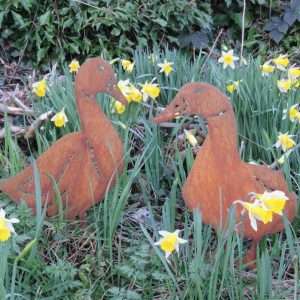 Rusty Ducks Garden Stake Sculpture