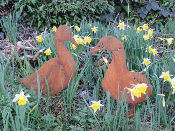 Rusty Ducks Garden Stake Sculpture