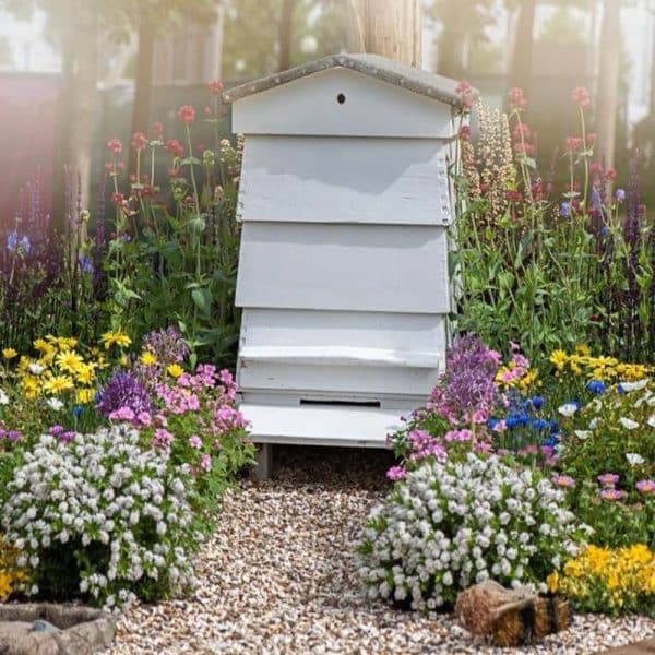 Adopt A Bee Hive