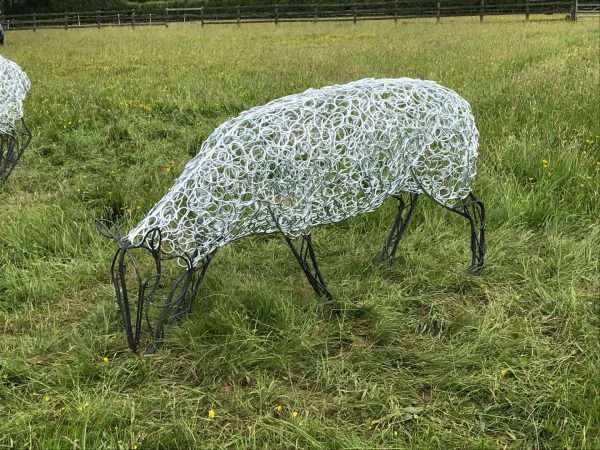Sheep Sculpture - Individual - Image 11