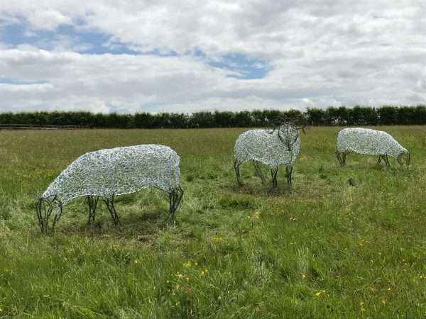 Sheep Sculpture Individual Gallery 11 Sheep Sculpture Handcrafted in Buckinghamshire Enlarged size - Created from 6mm round mild steel Handcrafted by Charles Elliott from 6mm round mild steel, with a luxurious progressive hot zinc exterior galvanised finish to protect the piece from nature and rust for over 30 years! Worldwide Shipping Available! All Commissions Welcome www.elliottoflondon.co.uk info@elliottoflondon.co.uk