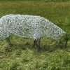 Sheep Sculpture - Individual - Image 6