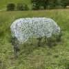Sheep Sculpture - Individual - Image 8