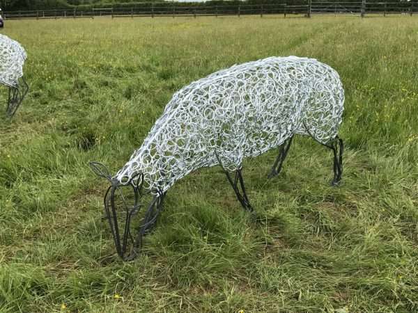 Sheep Sculpture - Individual