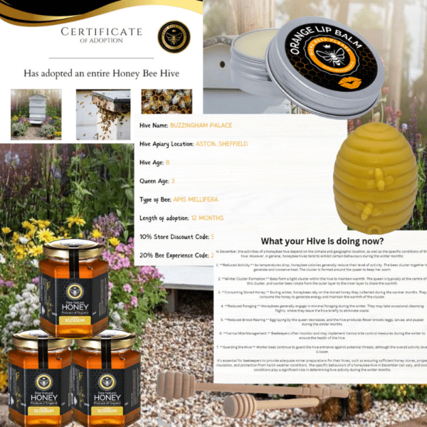 Adopt A Bee Hive - Image 3