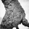 Boxing Hares 2020 - Image 3