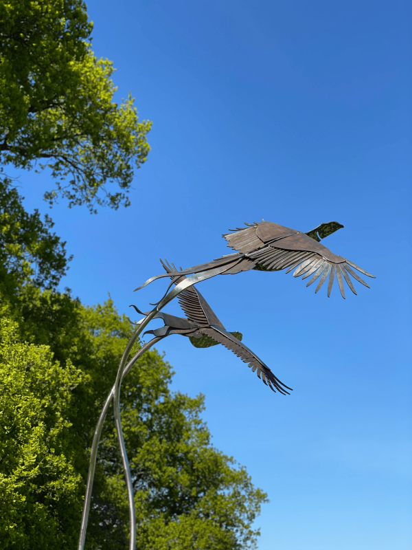 Life Size Brace of Pheasants Sculpture - Image 4