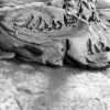 Boxing Hares 2020 - Image 6