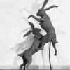 Boxing Hares 2020 - Image 8