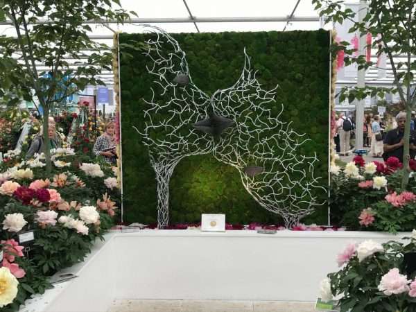 RHS Chelsea - Love with the Mind
