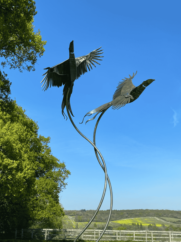 Life Size Brace of Pheasants Sculpture - Image 5