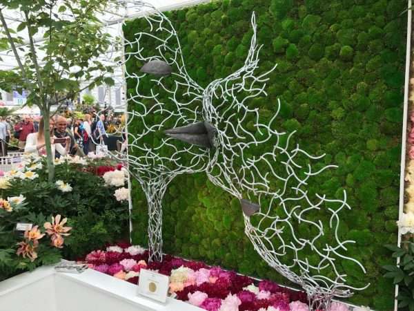 RHS Chelsea - Love with the Mind - Image 10