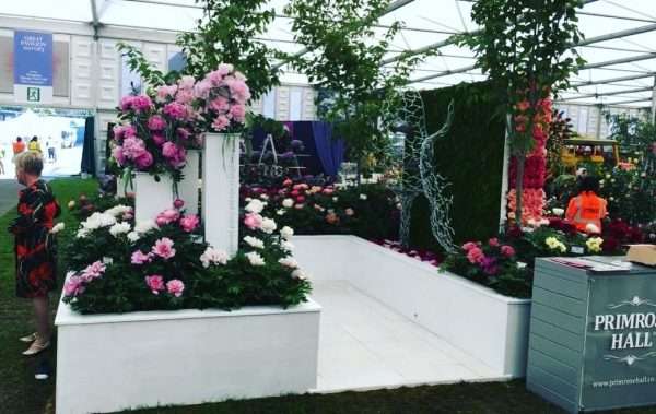 RHS Chelsea - Love with the Mind - Image 2