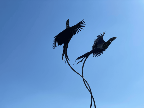 Life Size Brace of Pheasants Sculpture - Image 6