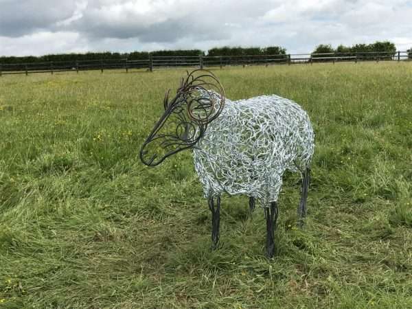 Ram Sculpture - Individual - Image 5