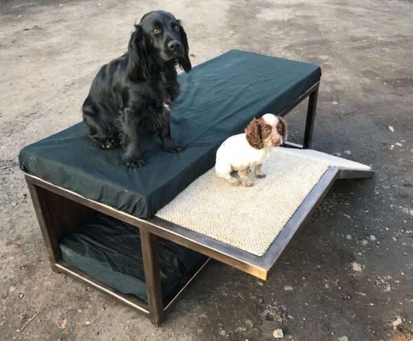 Dog Bunk Bed