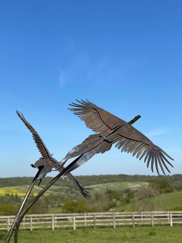 download 6 5 Our LifeSize "Brace of Pheasants" Sculpture   Our Brace of Pheasant's are handcrafted using 5mm thick mild steel, sculptures using hand drawn feather outlines. Inspiration for our pheasants came from watching the pheasant's take off from the bluebell woodland by our studio. We have been lucky enough to have a few cock birds most mornings mooching around the workshop & heading across to see our sculptures.   Approx Diamentions: These will vary for each pair Overall height 250cm <div>Overall width 150cm</div> <div>Overall depth 140cm</div> <div></div> <div>Each Pheasant dimensions -</div> <div>Length 110cm</div> <div>Width 110cm</div> <div>Depth 30cm (including curve in the wings)</div> <div></div> <div>Positioning of pheasant - ideal viewing point - the birds start at 170cm and finish at 250cm height.</div> <div></div> <div>Base is a 50mm x 50mm box frame measuring 1m x 1m - we recommend to be either concreted and bolted done during install to secure the sculpture safely.</div> Suitable for any area. All Enquiries Welcome Worldwide Shipping & Installation Available   We Welcome Studio Visits - By Appointment Only www.elliottoflondon.co.uk info@elliottoflondon.co.uk 01494 758 896