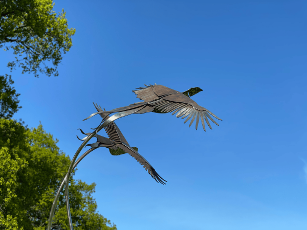 Life Size Brace of Pheasants Sculpture - Image 8