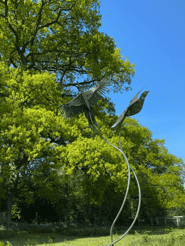 Life Size Brace of Pheasants Sculpture - Image 9
