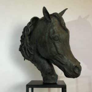 Arab Stallion Head 2018 Bronze Sculpture
