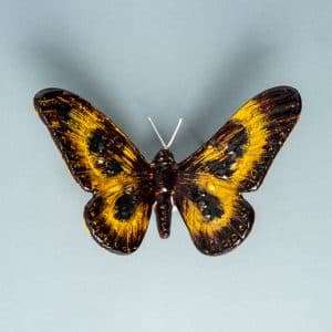 Handmade Garden Butterfly , Recycled, Eco Friendly,Gold & Black - Large 1 IMG 33601