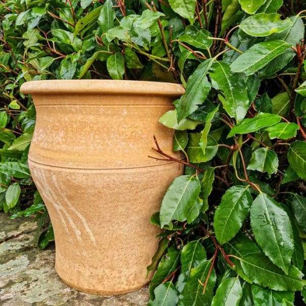 Iaso Cretan Terracotta Planter