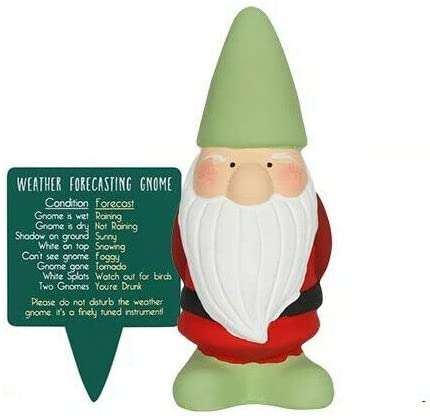 TERRACOTTA WEATHER FORECASTING GNOME <h1 id="title" class="a-size-large a-spacing-none"><span id="productTitle" class="a-size-large product-title-word-break">TERRACOTTA WEATHER FORECASTING GNOME</span></h1> This endearing Weather Forecasting Gnome is just the man to depend on Place the hand painted clay gnome in the garden along with his tiny wooden sign and be the first to know when there is rain, sun, or snow Available with hat/feet in red, green or blue (see photos) Gnome is approximately 14cm x 14cm x 5cm in size The perfect size for flower pots in the garden Ideal gift for any keen gardeners or gnome lovers Set of Three Gnome is wet: Raining Gnome is dry: Not Raining Shadow on ground: Sunny White on top: Snowing Can't see gnome: Foggy Gnome gone: Tornado White Splats: Watch out for birds Two Gnomes: You're Drunk