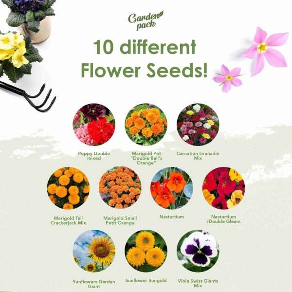 Grow Your Own 100 Seed Box - Image 5