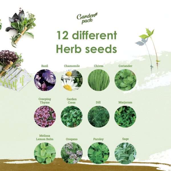 12 herbs images 1 Growing all kinds of herbs has never been this quick & easy. <strong>What's included:</strong> <ul> <li>12 Herbs seeds varieties - Botanicals, for Cooking, Remedies & Medicines, Homemade Skincare; - approximately 15,000 seeds!</li> <li>Sowing and Growing instructions</li> <li><span style="font-weight: 400">Large letter postal box (low shipping fees)</span></li> </ul> <strong>OUR BEST VALUE GARDENING KIT</strong> everything you need to start growing your own fresh herbs!  