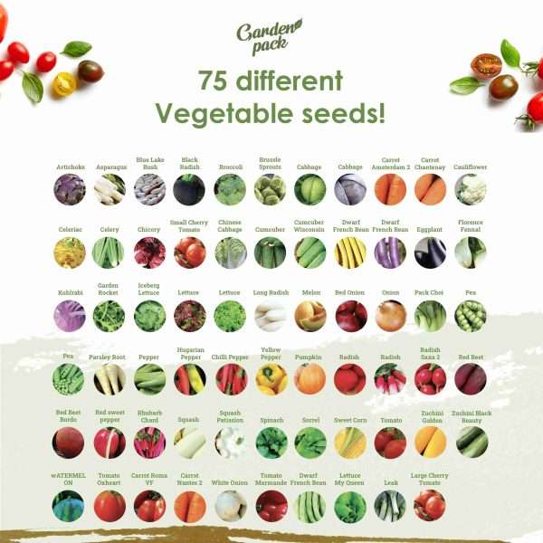 Grow Your Own 100 Seed Box - Image 3